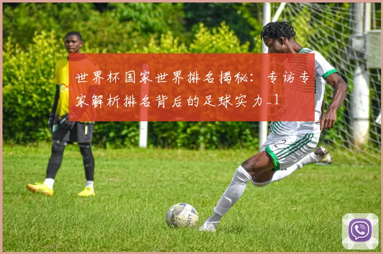 世界杯国家世界排名揭秘：专访专家解析排名背后的足球实力_1