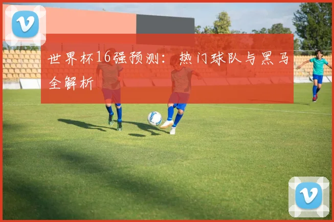 世界杯16强预测:热门球队与黑马全解析