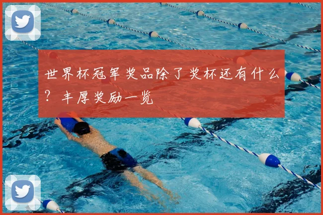 世界杯冠军奖品除了奖杯还有什么?丰厚奖励一览