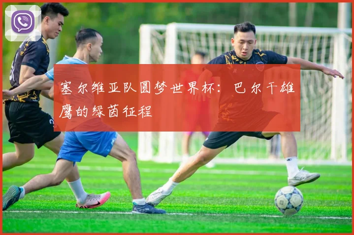 塞尔维亚队圆梦世界杯:巴尔干雄鹰的绿茵征程