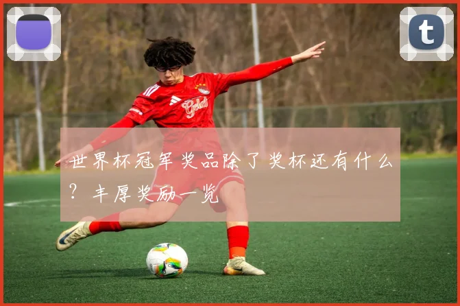 世界杯冠军奖品除了奖杯还有什么?丰厚奖励一览