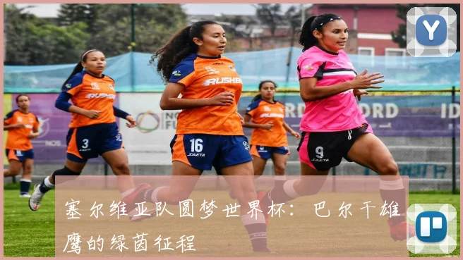 塞尔维亚队圆梦世界杯:巴尔干雄鹰的绿茵征程